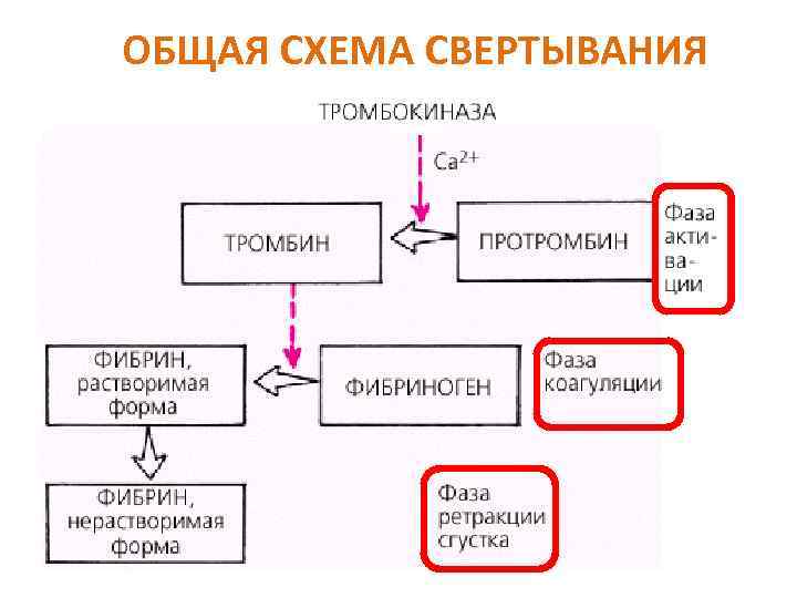 ОБЩАЯ СХЕМА СВЕРТЫВАНИЯ 