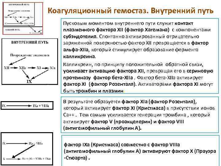 Коагуляционный гемостаз. Внутренний путь Пусковым моментом внутреннего пути служит контакт плазменного фактора XII (фактор