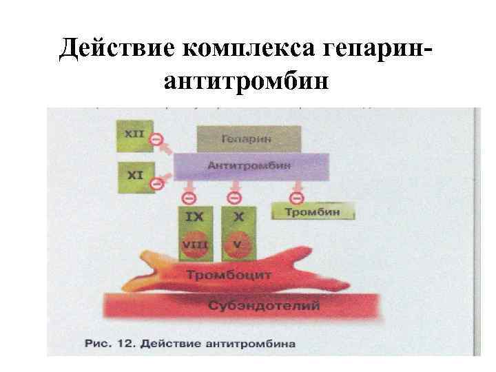 Действие комплекса гепаринантитромбин 