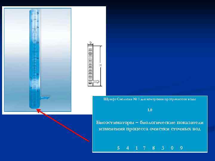 Шрифт Снеллена № 1 для измерения прозрачности воды 1, 0 Биоэстиматоры – биологические показатели