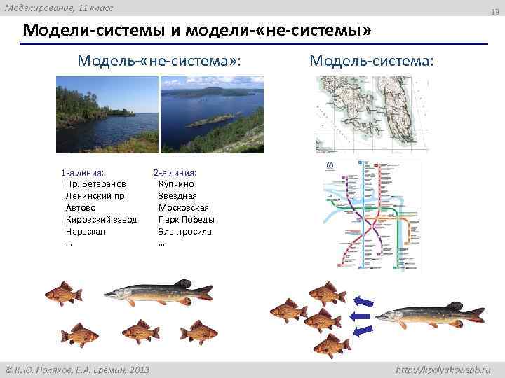 Моделирование, 11 класс 13 Модели-системы и модели- «не-системы» Модель- «не-система» : 1 -я линия: