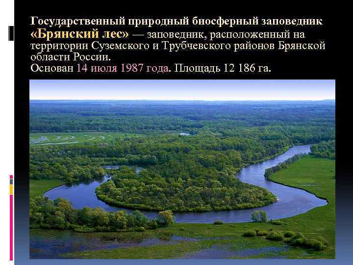 Государственный природный биосферный заповедник «Бря нский лес» — заповедник, расположенный на территории Суземского и