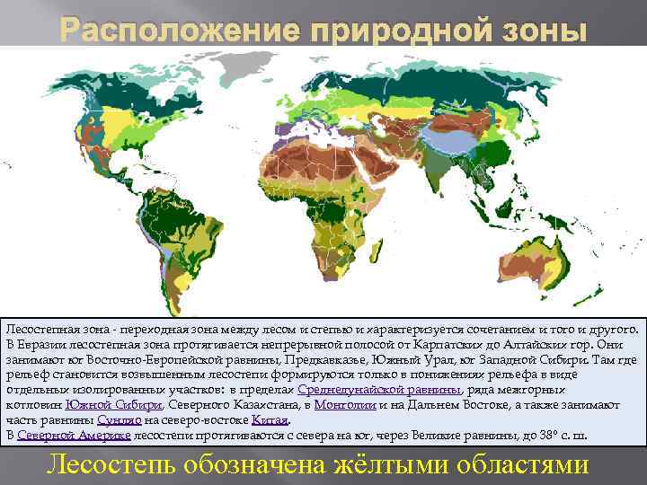 Лесостепная зона на карте. Зона степей и лесостепей на карте Евразии. Степи и лесостепи географическое положение на карте. Карта природной зоны степи лесостепи в России. Степи и лесостепи на карте Евразии.