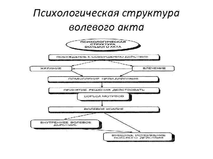 Заполните схему сложного волевого действия