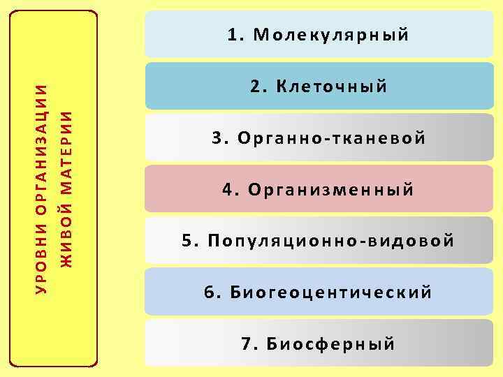 На какие структурные уровни подразделяется живая материя. Уровни организации живых организмов. Иерархия уровней организации живых систем. Уровни организма живой материи. Системный уровень организации.