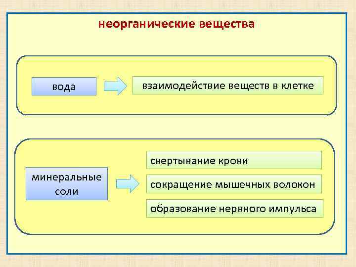 неорганические вещества вода взаимодействие веществ в клетке свертывание крови минеральные соли сокращение мышечных волокон