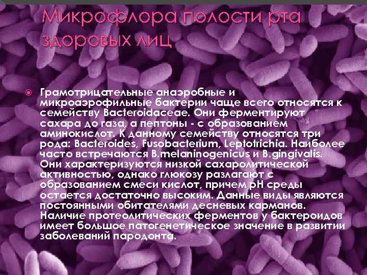Микрофлора полости рта здоровых лиц Грамотрицательные анаэробные и микроаэрофильные бактерии чаще всего относятся к