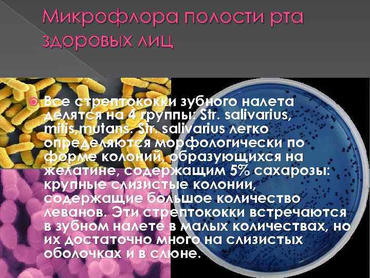 Микрофлора полости рта здоровых лиц Все стрептококки зубного налета делятся на 4 группы: Str.