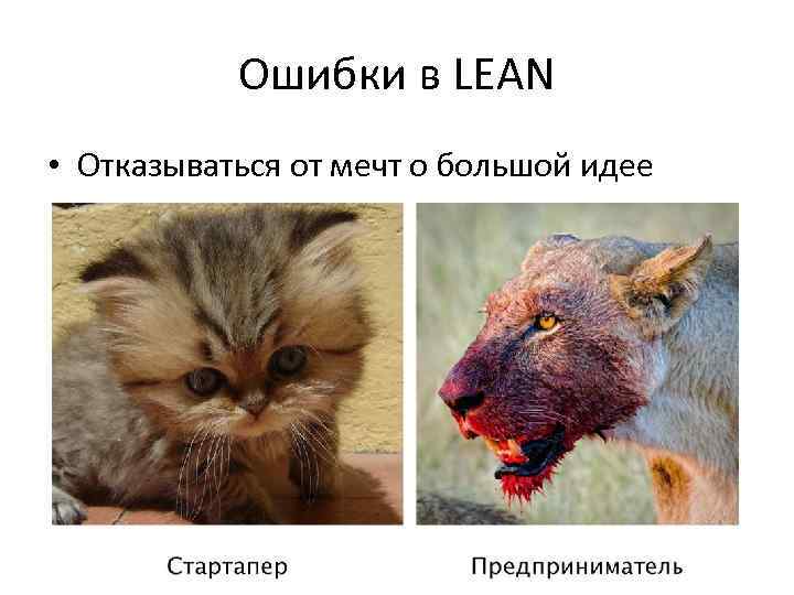 Ошибки в LEAN • Отказываться от мечт о большой идее 