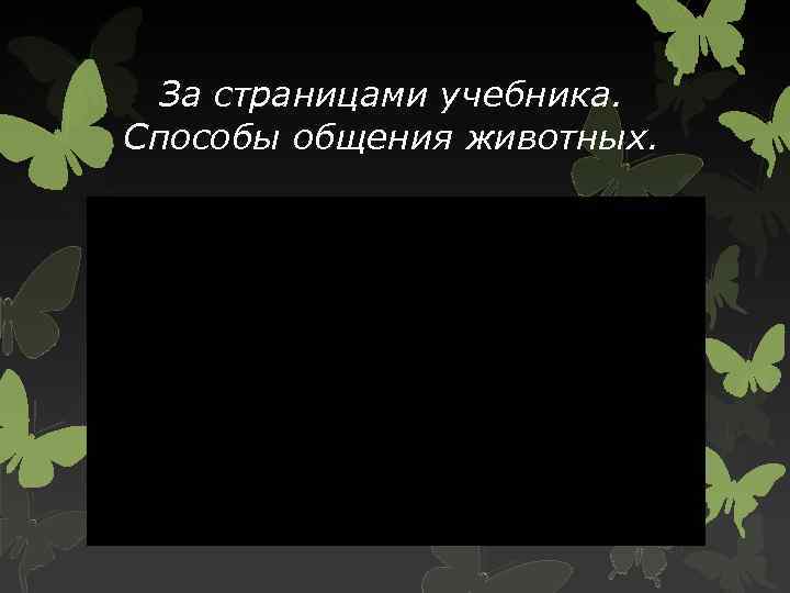 За страницами учебника. Способы общения животных. 