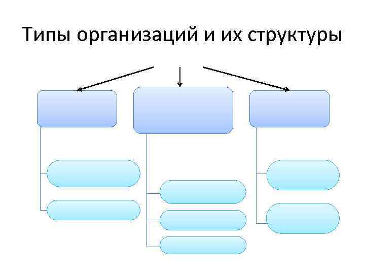 Типы организаций и их структуры 