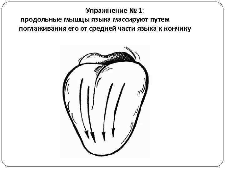 Упражнение № 1: продольные мышцы языка массируют путем поглаживания его от средней части языка