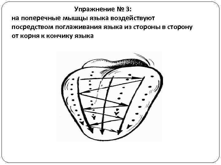 Упражнение № 3: на поперечные мышцы языка воздействуют посредством поглаживания языка из стороны в