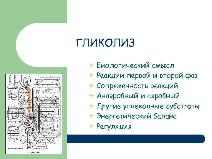 ГЛИКОЛИЗ Биологический смысл Реакции первой и второй фаз Сопряженность реакций Анаэробный и аэробный Другие