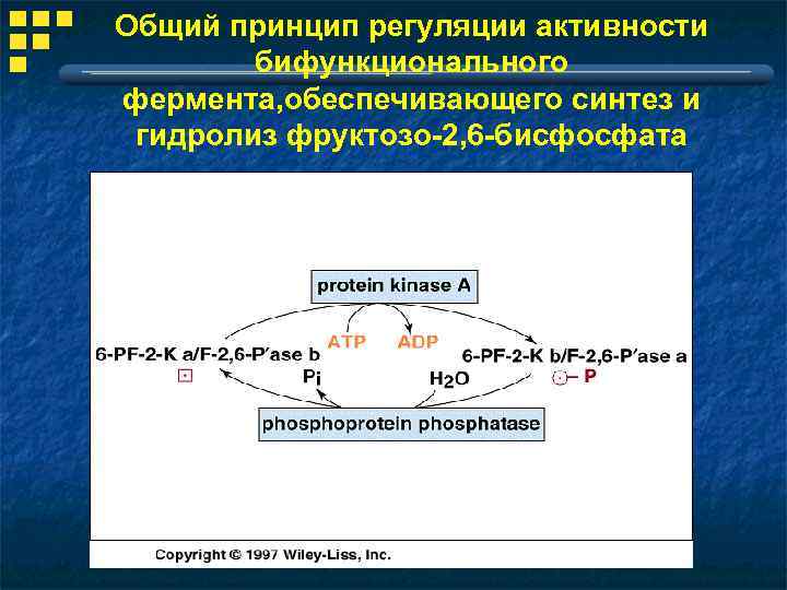 Гликолиз схема с ферментами