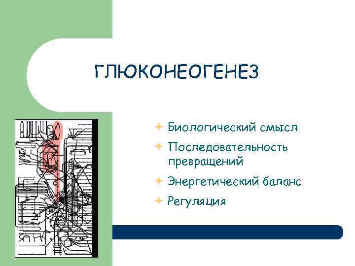 ГЛЮКОНЕОГЕНЕЗ Биологический смысл Последовательность превращений Энергетический баланс Регуляция 