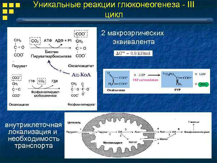 Глюконеогенез схема реакций