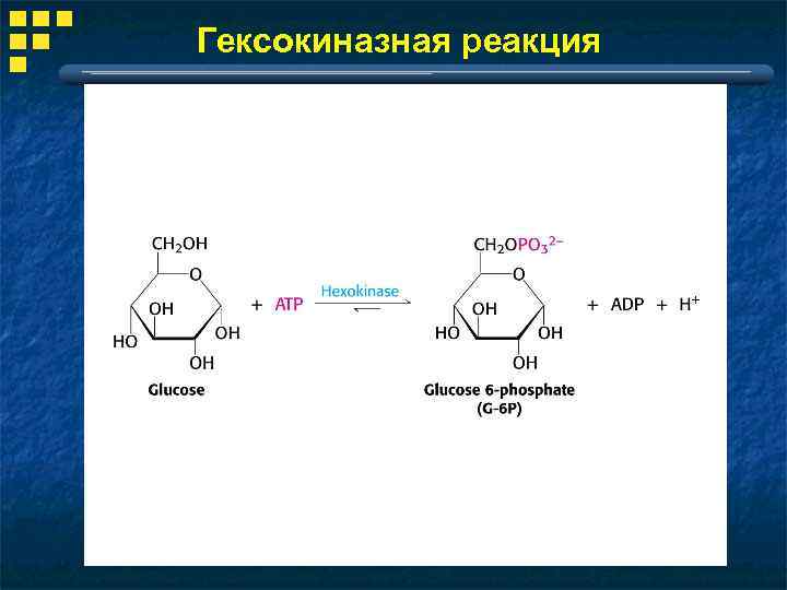 Гексокиназная реакция 