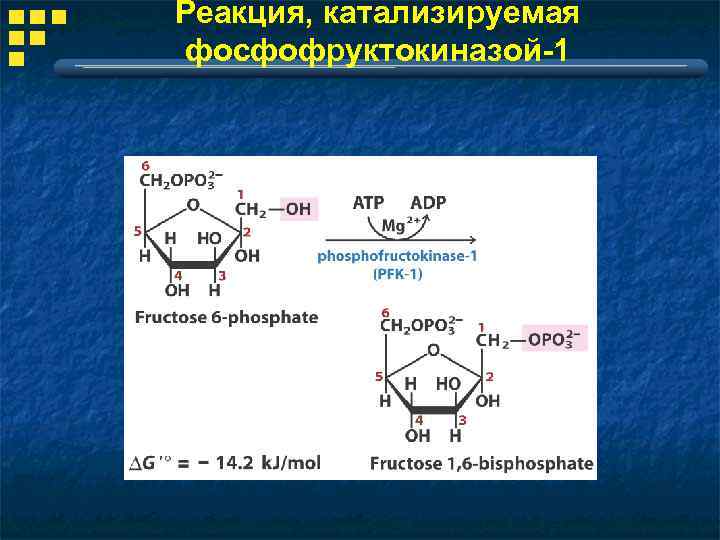 Какой биологический смысл в реакции переактивации ответ. Катализируемые реакции. Фосфофруктокиназа катализирует. Фосфофруктокиназа реакция. Фосфофруктокиназа катализирует реакцию.