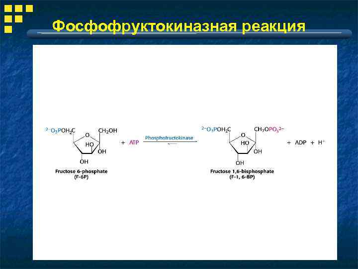 Гликолиз схема процесса ферменты и их локализация