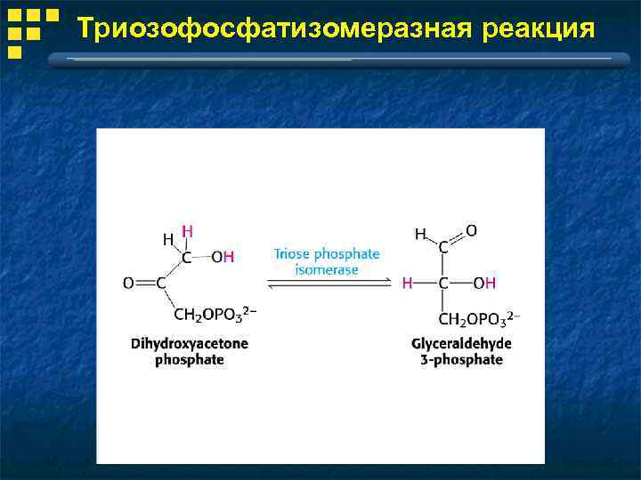 Триозофосфатизомеразная реакция 