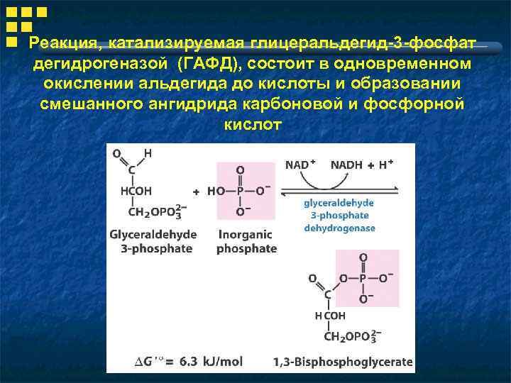 Реакция, катализируемая глицеральдегид-3 -фосфат дегидрогеназой (ГАФД), состоит в одновременном окислении альдегида до кислоты и