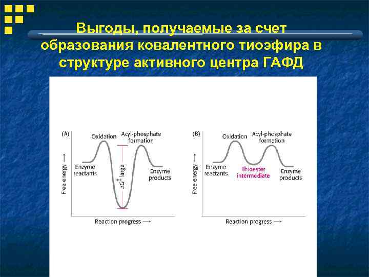 Выгоды, получаемые за счет образования ковалентного тиоэфира в структуре активного центра ГАФД 