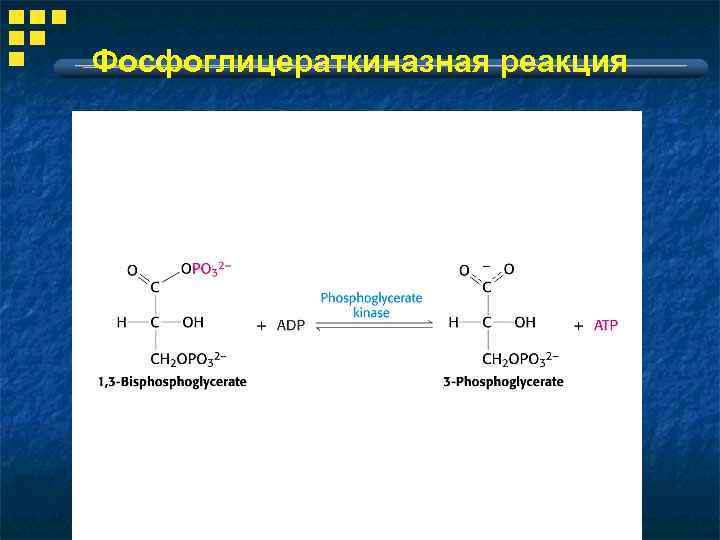 Фосфоглицераткиназная реакция 