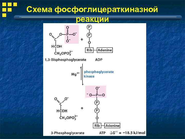 Какой биологический смысл в реакции переактивации ответ. Фосфоглицератмутаза. 3 Фосфоглицератмутаза. Фосфоглицераткиназная реакция. Фосфоглицератмутаза реакция.