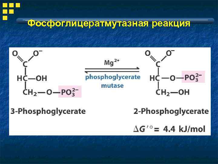 Фосфоглицератмутазная реакция 