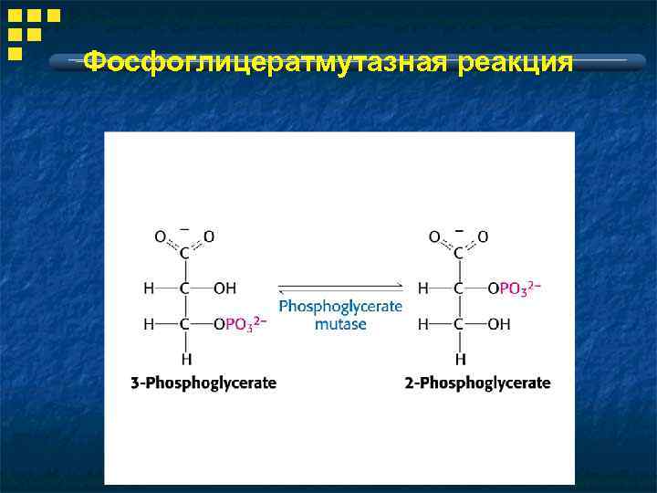 Фосфоглицератмутазная реакция 