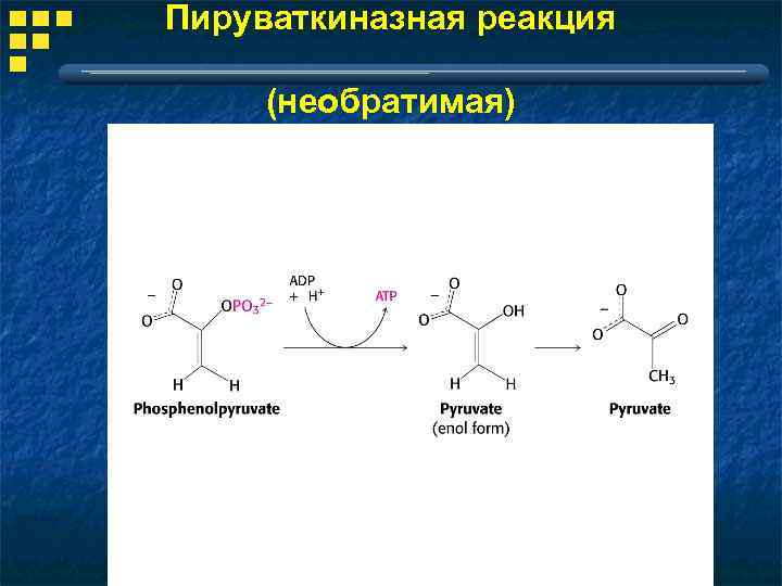 Пируваткиназная реакция (необратимая) 