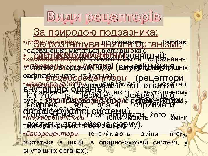 Види рецепторів За природою подразника: • фоторецептори (сприймають світлові За розташуванням в організмі: подразнення;