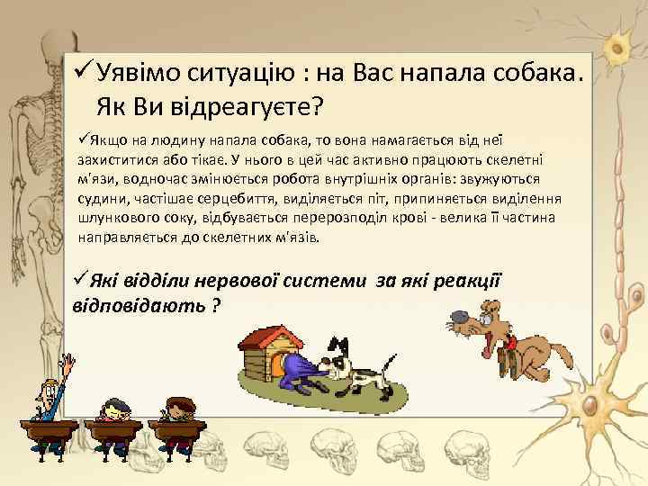 ü Уявімо ситуацію : на Вас напала собака. Як Ви відреагуєте? üЯкщо на людину