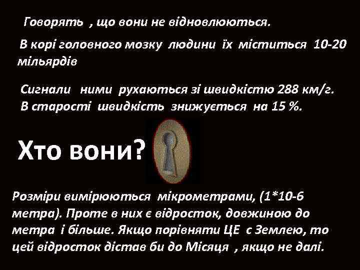 Говорять , що вони не відновлюються. В корі головного мозку людини їх міститься 10