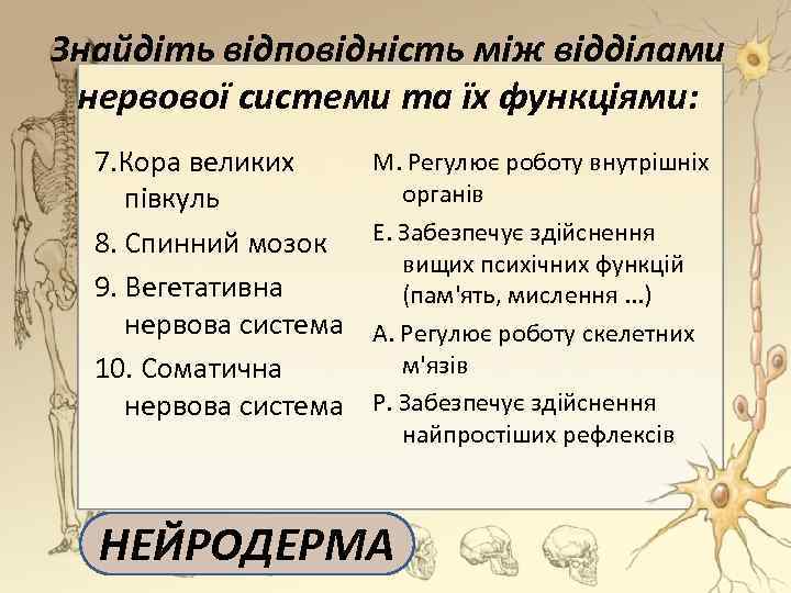 Знайдіть відповідність між відділами нервової системи та їх функціями: 7. Кора великих півкуль 8.