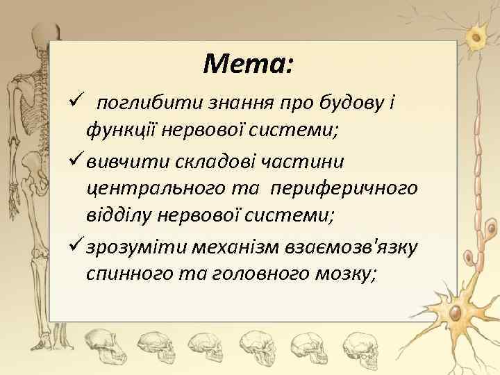 Мета: ü поглибити знання про будову і функції нервової системи; ü вивчити складові частини