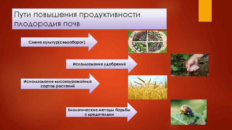 Повышение плодородие почвы называется. Повышение плодородия почвы. Методы плодородия почв. Методы повышения плодородия почвы. Методы восстановления плодородия почв.