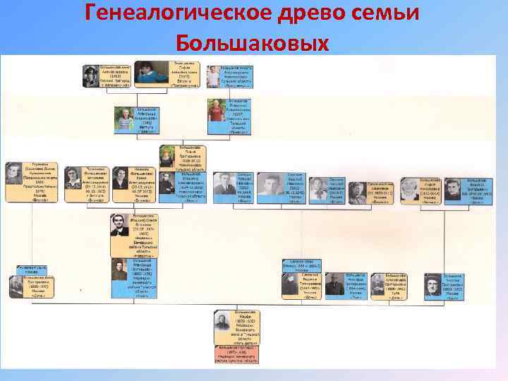 Генеалогическое древо семьи Большаковых 
