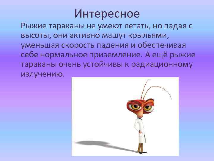 Интересное Рыжие тараканы не умеют летать, но падая с высоты, они активно машут крыльями,