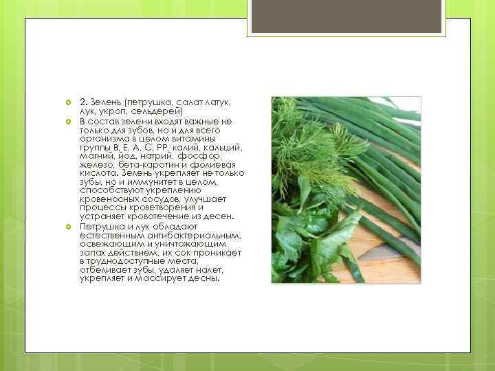  2. Зелень (петрушка, салат латук, лук, укроп, сельдерей) В состав зелени входят важные