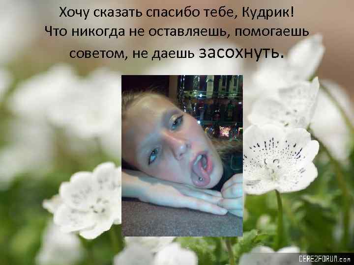 Хочу сказать спасибо тебе, Кудрик! Что никогда не оставляешь, помогаешь советом, не даешь засохнуть.