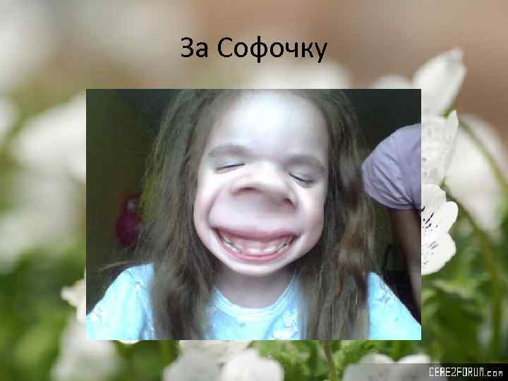 За Софочку 