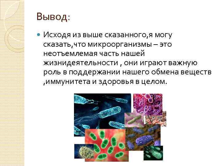 Вывод: Исходя из выше сказанного, я могу сказать, что микроорганизмы – это неотъемлемая часть