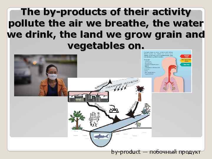 The by-products of their activity pollute the air we breathe, the water we drink,