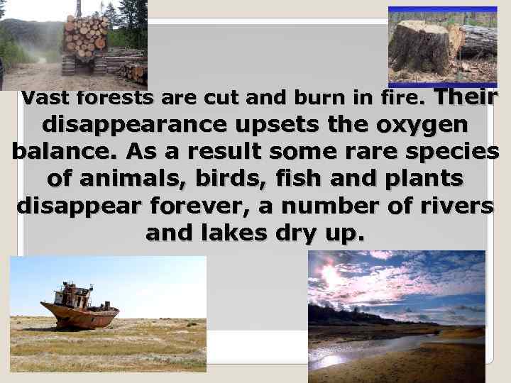 Vast forests are cut and burn in fire. Their disappearance upsets the oxygen balance.