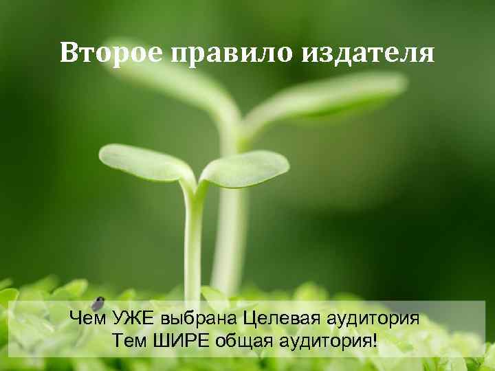 Второе правило издателя Чем УЖЕ выбрана Целевая аудитория Тем ШИРЕ общая аудитория! 