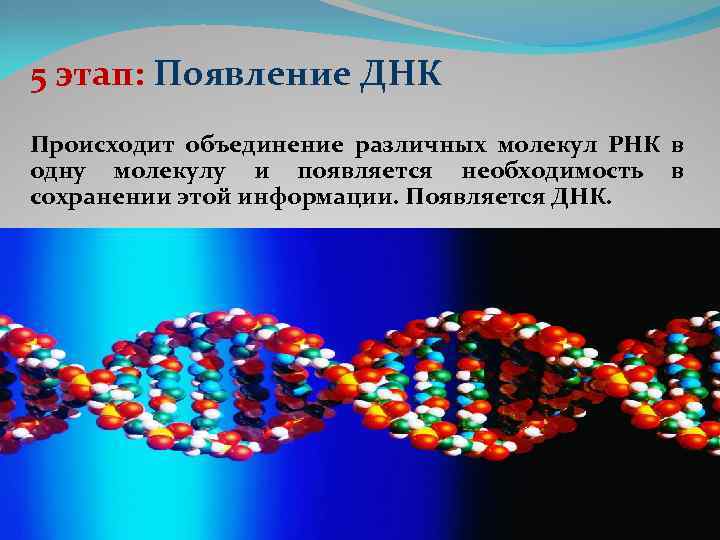 Что такое днк. Как появилось ДНК. Как образуется ДНК. Происхождение жизни ДНК. ДНК разных видов.