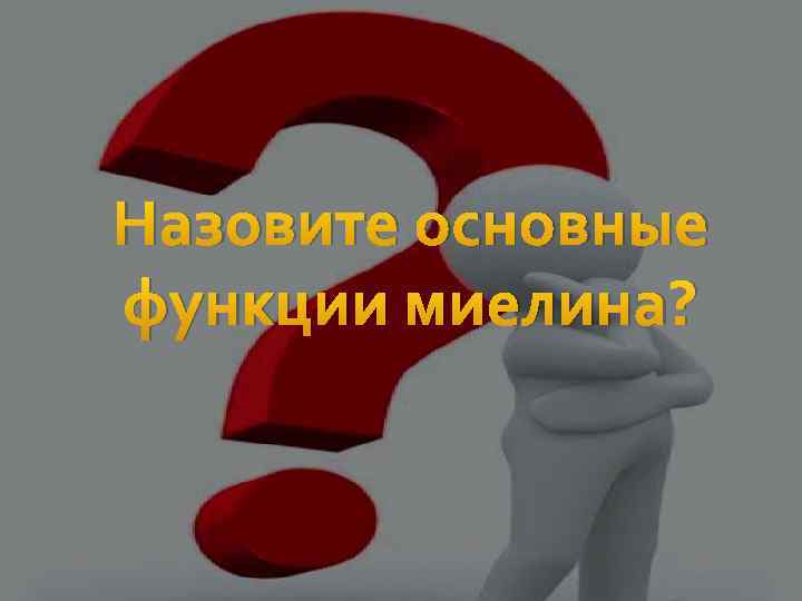 Назовите основные функции миелина? 