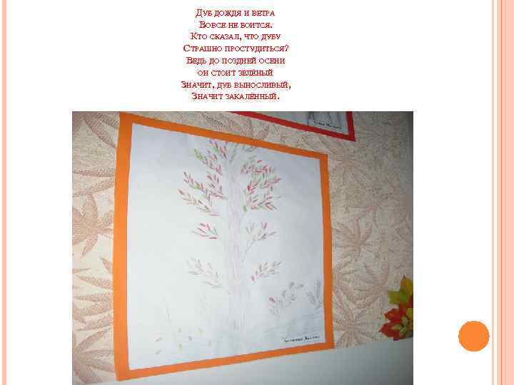 ДУБ ДОЖДЯ И ВЕТРА ВОВСЕ НЕ БОИТСЯ. КТО СКАЗАЛ, ЧТО ДУБУ СТРАШНО ПРОСТУДИТЬСЯ? ВЕДЬ